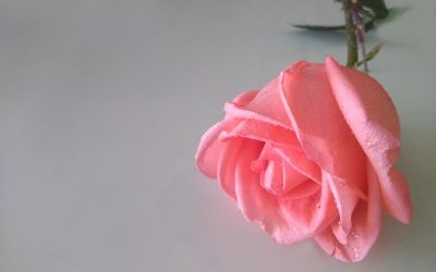 Ontdek jouw persoonlijk symbool