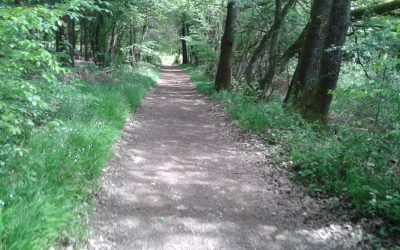 Buitengewoon Wandelen